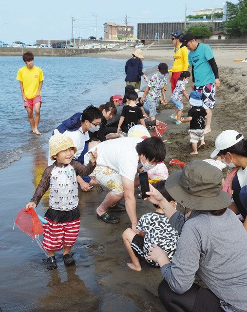 三国の海 思いっきり楽しむ 子どもら水鉄砲や潮干狩り：日刊県民福井Web