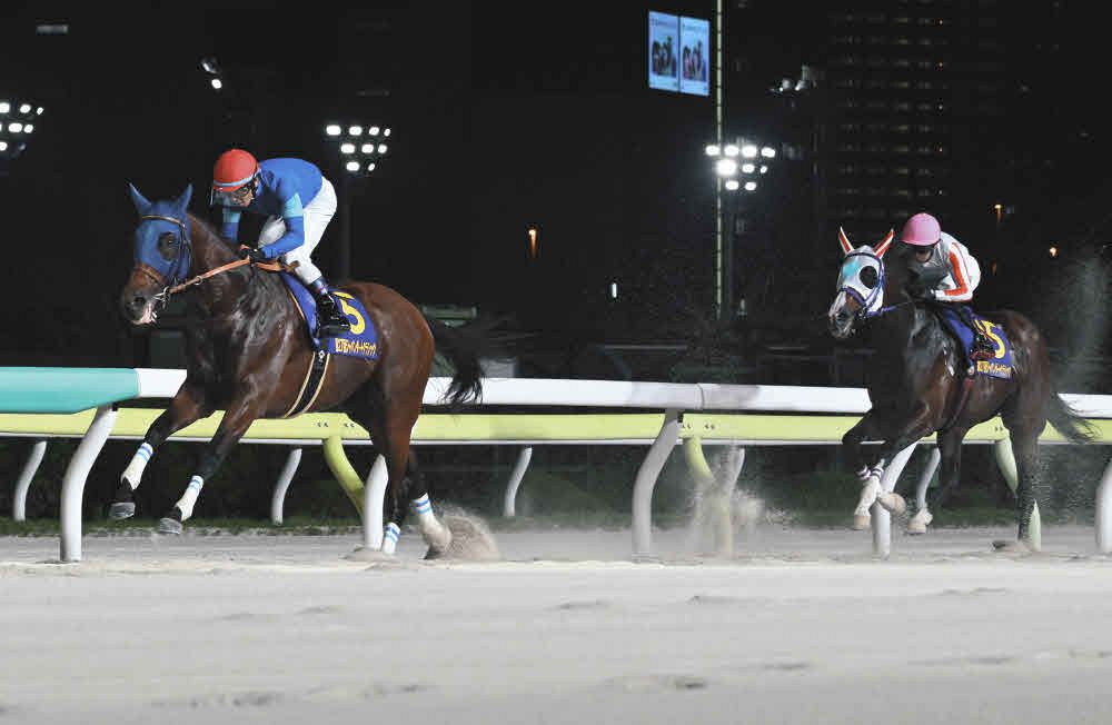 ジャパンダートクラシック】単勝3番人気ナルカミ逃げ切り4連勝でラスト