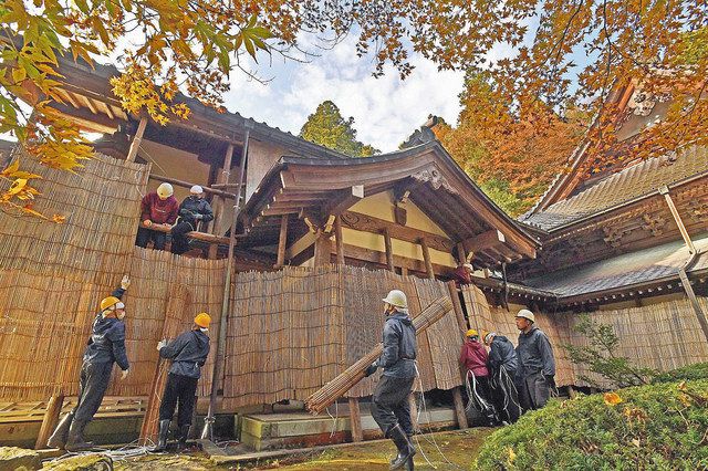 冬を控えて これも修行 永平寺の建物に 雪囲い 中日新聞web