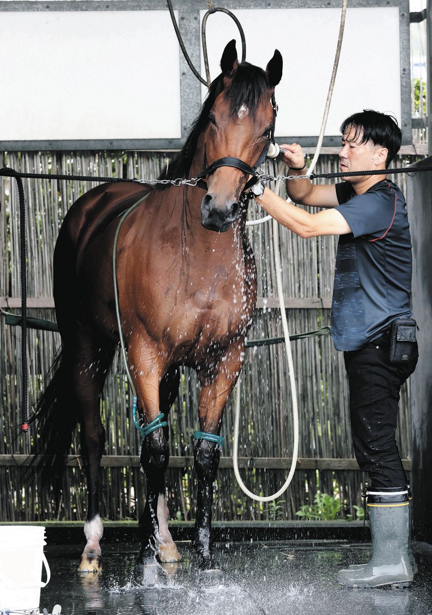 秋華賞・枠順確定】モリアーナ4枠8番に武藤師「理想」天気崩れる予報も 