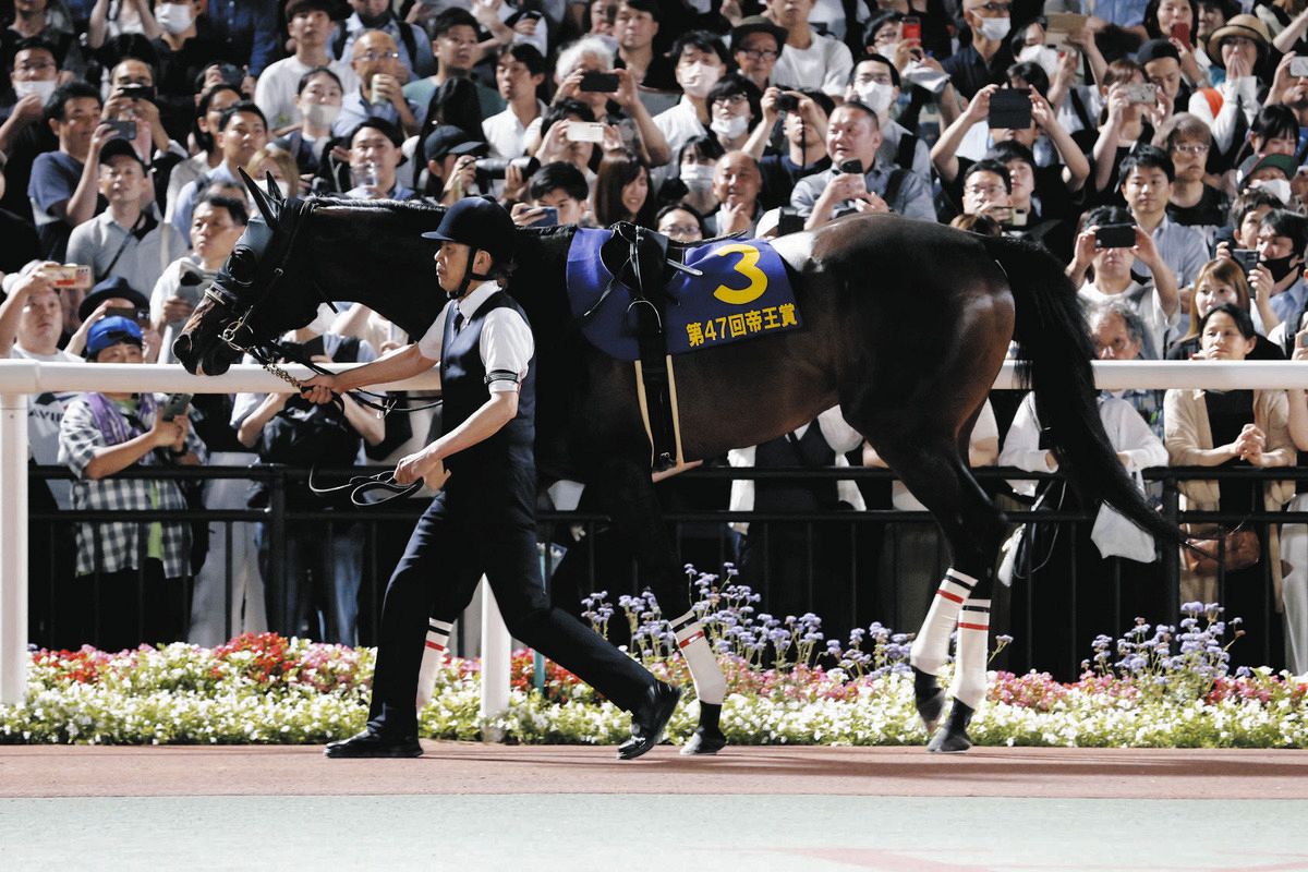 東京大賞典】最終出走予定馬を発表 3つ目のG1タイトルを狙うミッキー