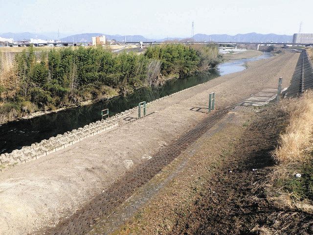 きりかぶ／流木（河川敷） きりかぶ／流木（河川敷）