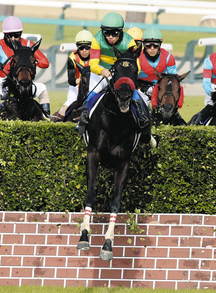 お取り置きエコロデュエル 中山グランドジャンプ 中山グランドジャンプ】5番人気エコロデュエルが優勝 草野騎手はJ・G1