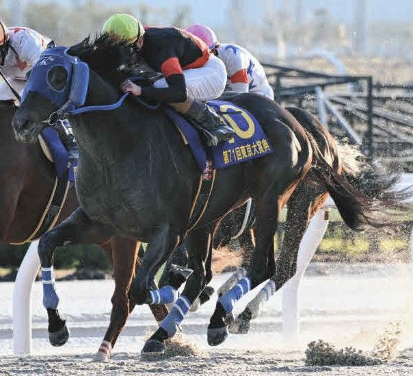 地方競馬】NARグランプリ2025を発表、年度代表馬にディクテオンを選出