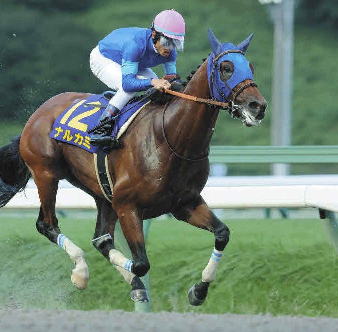 【武豊 サンライズジパング号 アクリルスタンド】不来方賞 盛岡競馬 不来方賞 Jpn Ⅱ 2024 サンライズジパング アクリルスタンド