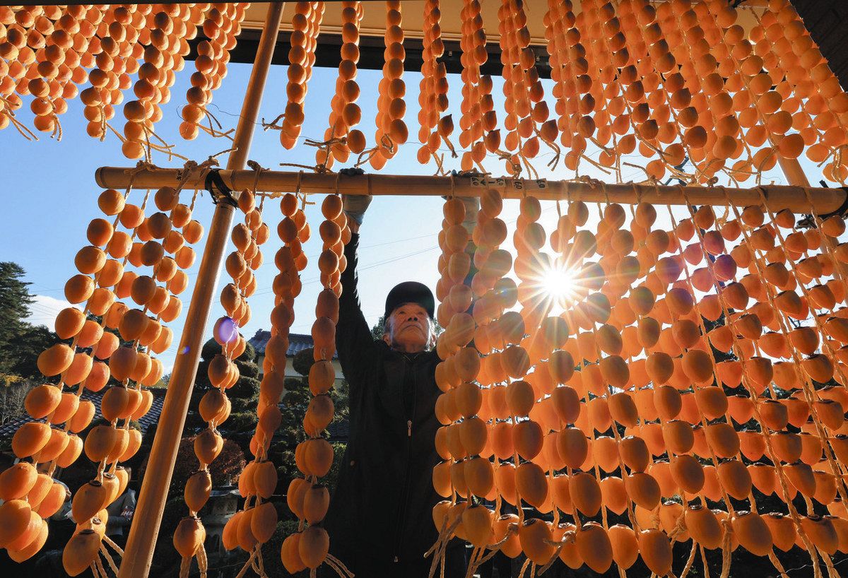 ※確認用　柿　のれん のれん受け 通しタイプ 2個セット | IONOストア