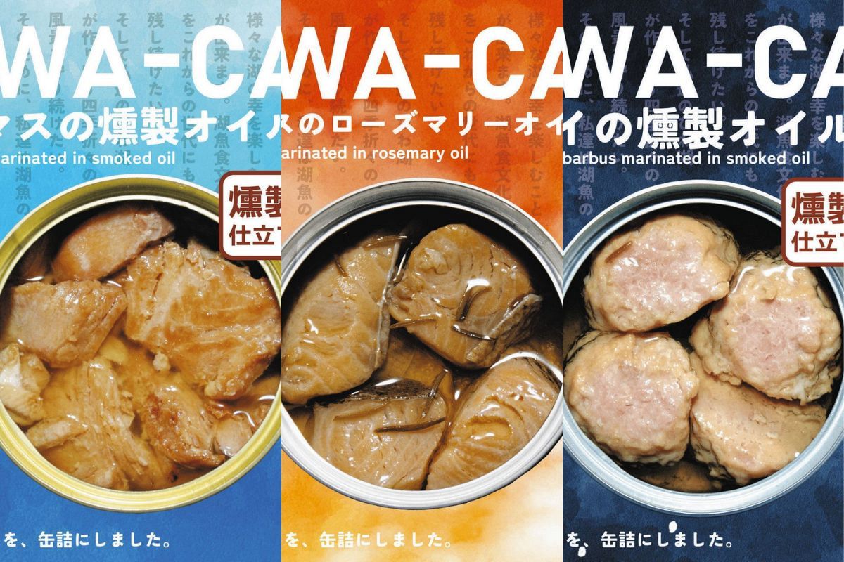 琵琶湖の魚を缶詰に、立命館大学の学生と漁師がタッグ パッケージも