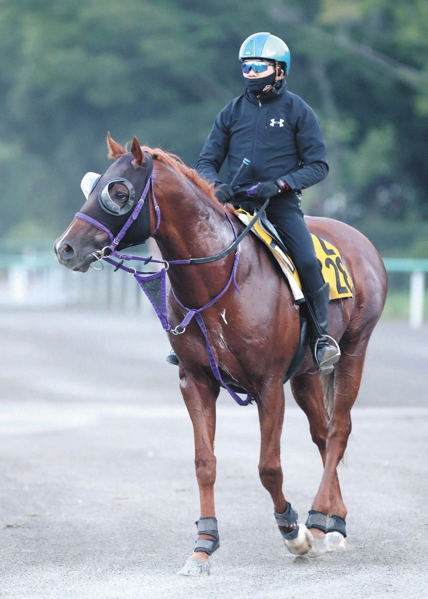 乗馬 馬場用長靴 〈FUSE〉フセ・ブーツ