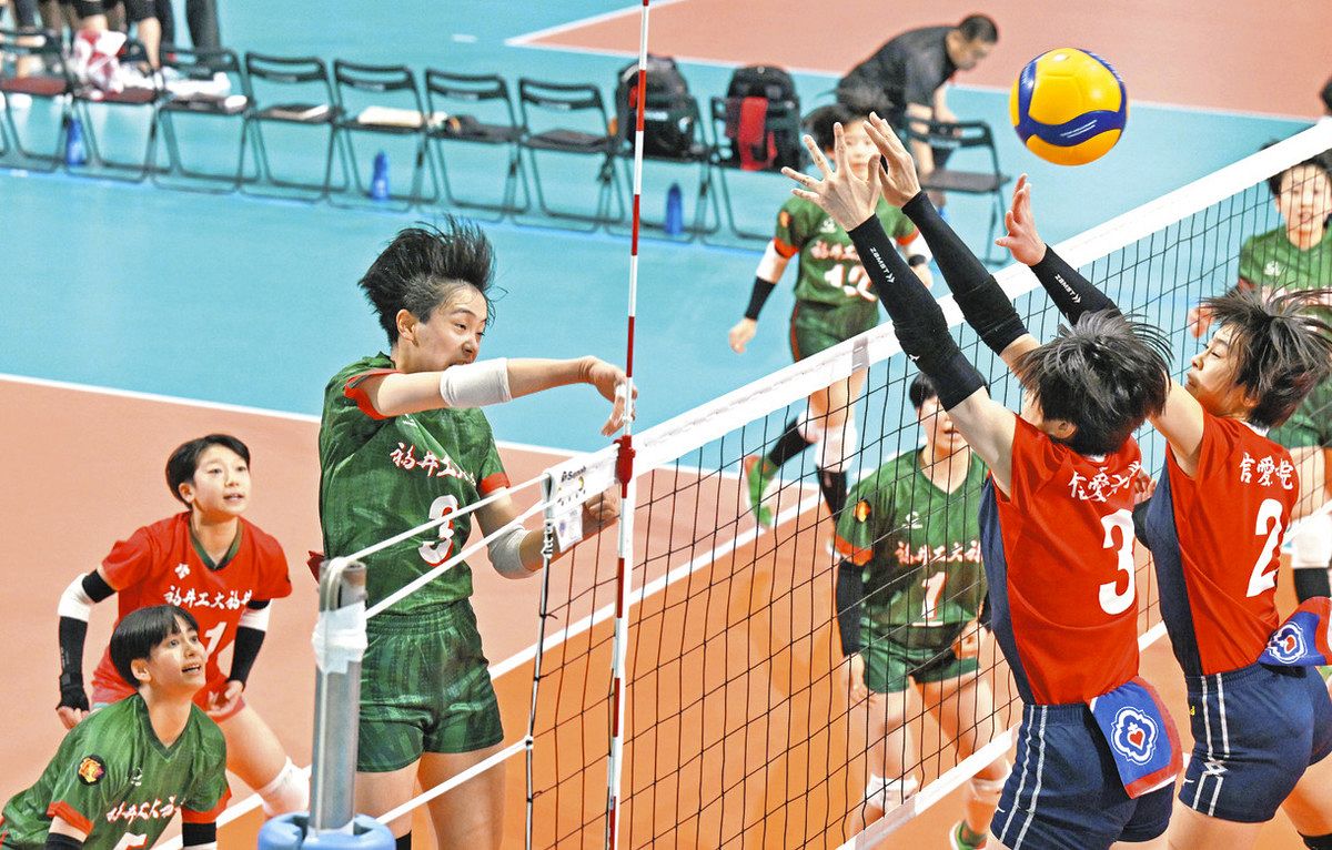 春高バレー 工大福井男子4強逃す 女子は3回戦敗退：日刊県民福井Web