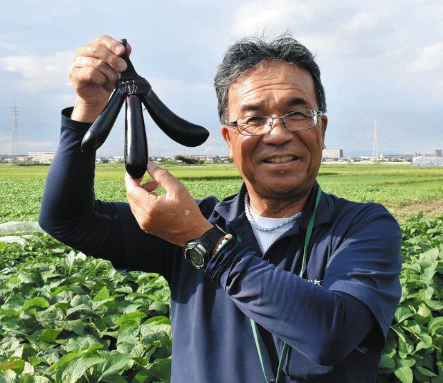 珍しい形のナスを収穫した中川さん＝岡崎市坂左右町で