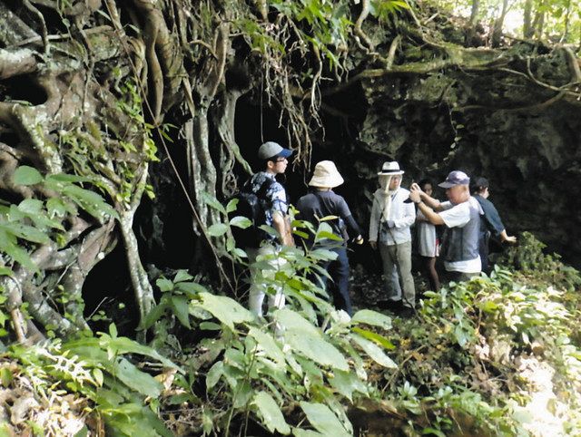 ジャングルの奥、真っ暗な洞窟に隠れ最期…絶望の極みでは？ 遺骨収集
