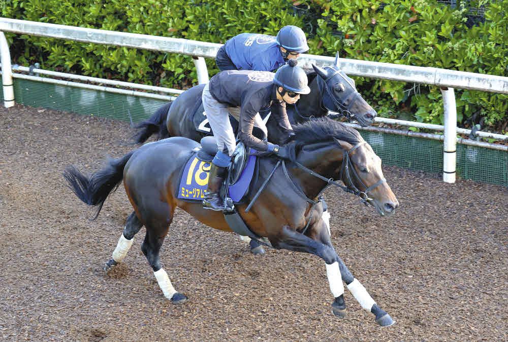 ‘02 日本ダービー他３枚　タニノギムレット現地購入　単勝馬券 2025年最新】Yahoo!オークション - 終了したレースの馬券(競馬