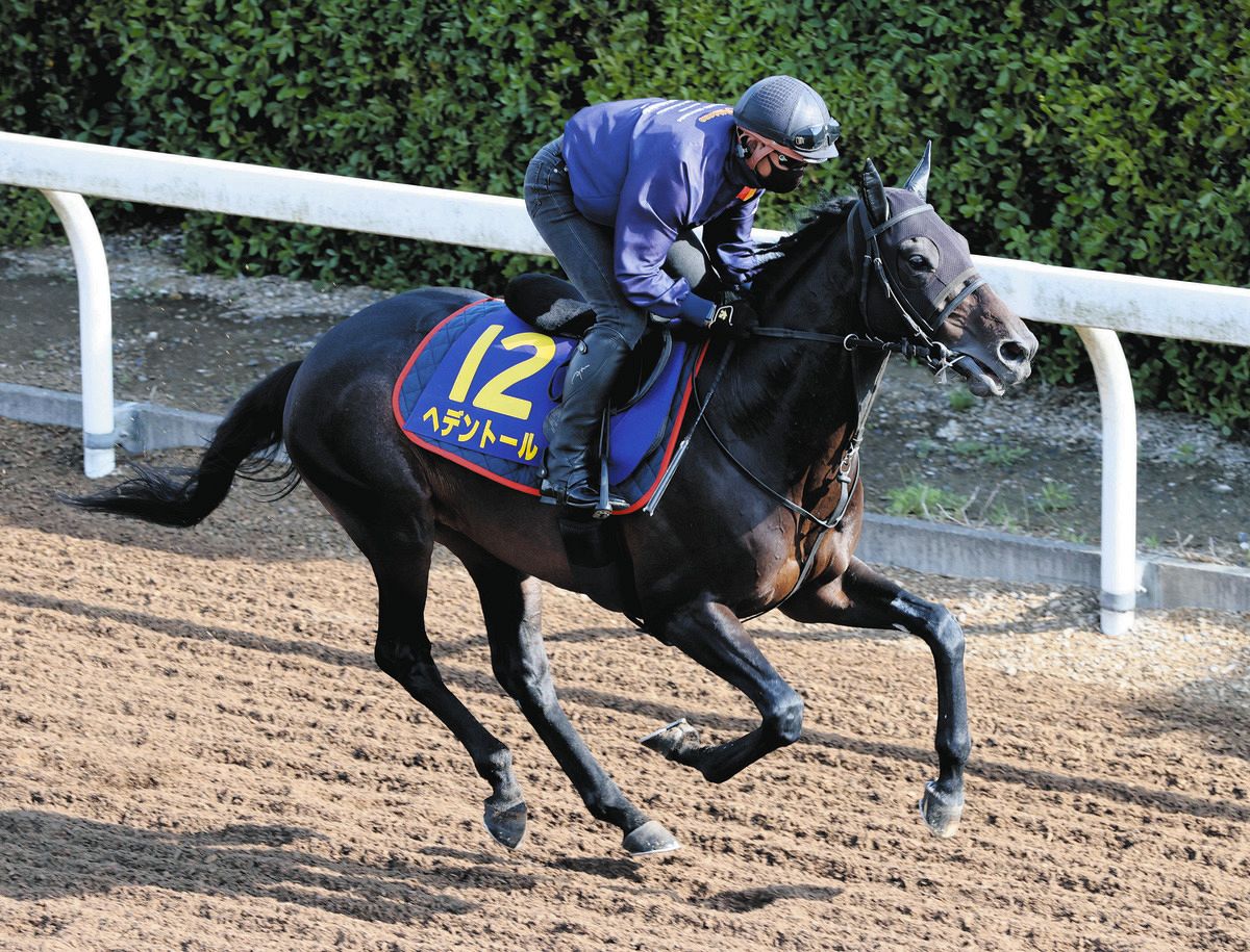 天皇賞・春 吉田稔さん予想】モレイラに負けず劣らず、冷静沈着な名手