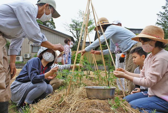 氷見ベジ 自然菜園を開設 北陸中日新聞web