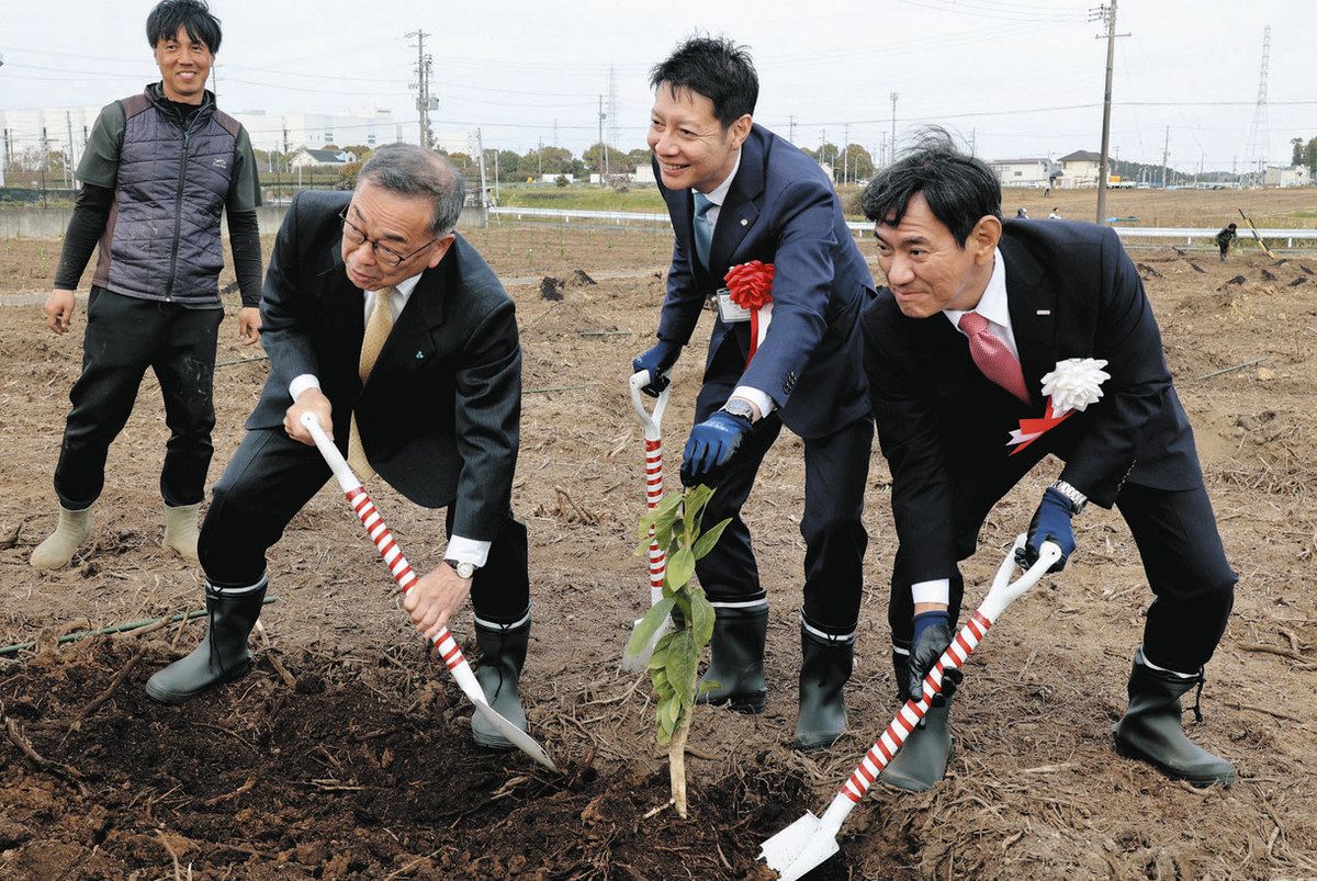 将来は100ヘクタールのレモン農場に 磐田市と農業法人が定植祭：中日