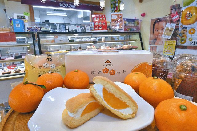 東浦みかんたっぷり 敦賀ふわっセ「KOBORI／小堀日之出堂本店