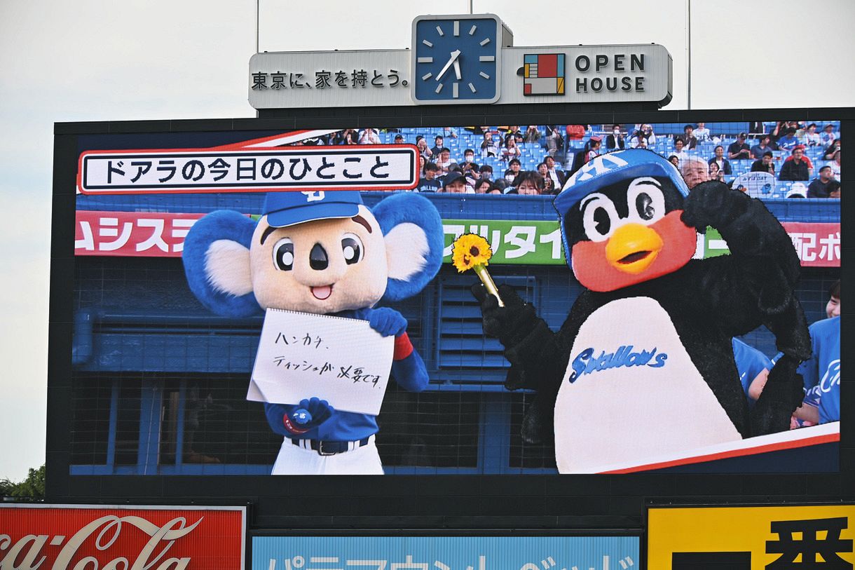 6ce01e2702c1c8c734705d40640abc