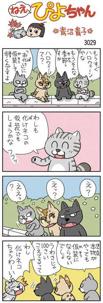 ねえ、ぴよちゃん：中日新聞Web