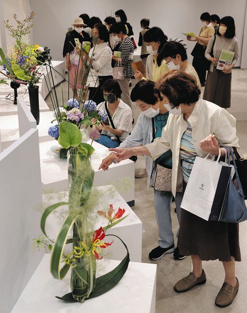 色彩豊か、平和願う 中日いけばな芸術展が開幕：中日新聞しずおかWeb