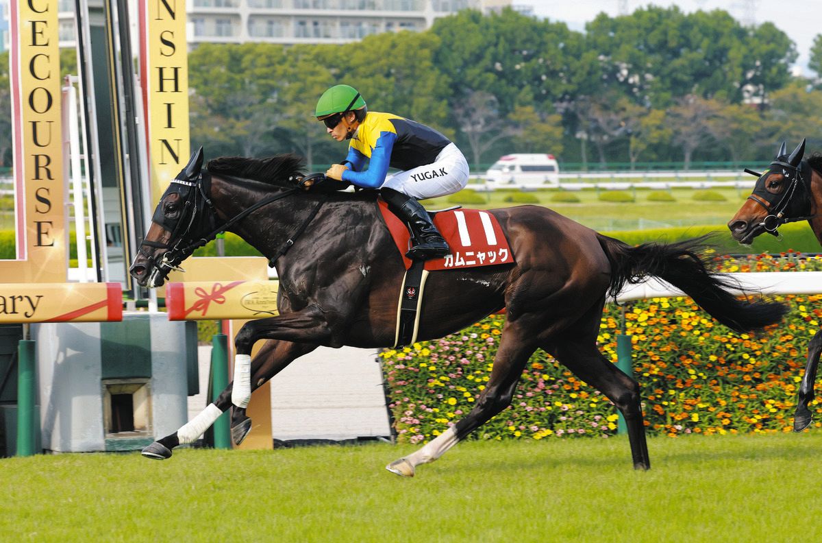 秋華賞】特別登録馬を発表、22頭が登録 桜花賞馬エンブロイダリー