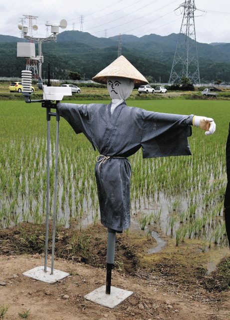 デジタルかかし 中能登に登場 気象データ収集 農業効率化や水害対策に：北陸中日新聞Web