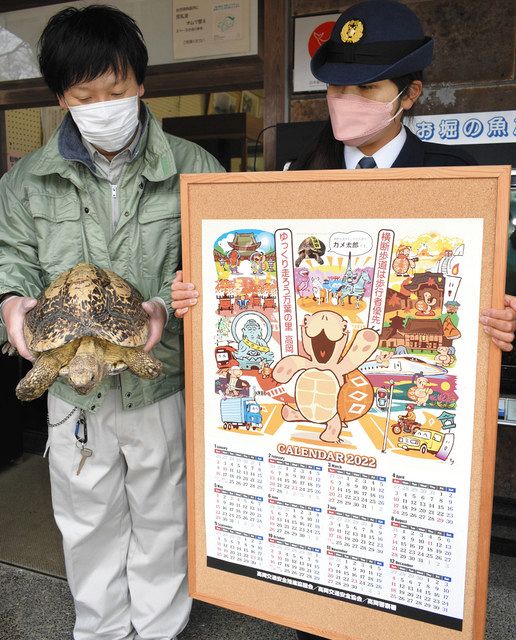 来年も 運転意識たカメて PR大使「カメ太郎」 高岡署がカレンダー