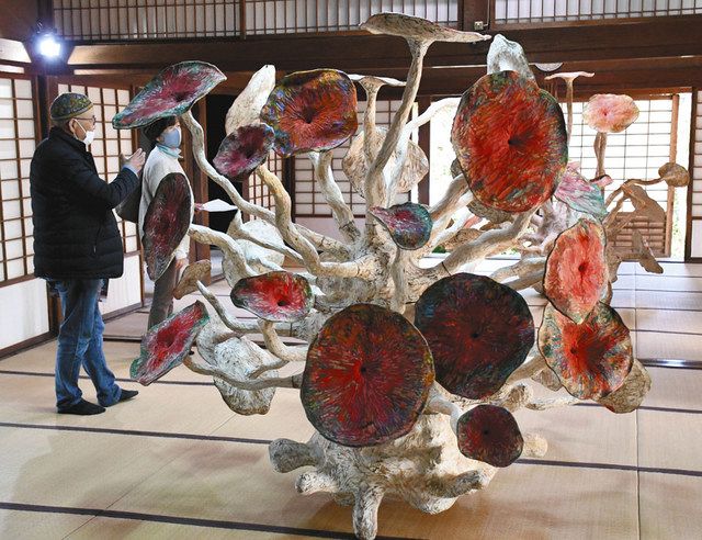 和の空間、広がる現代美術 安土・浄厳院で内外13人の作品展示：中日  