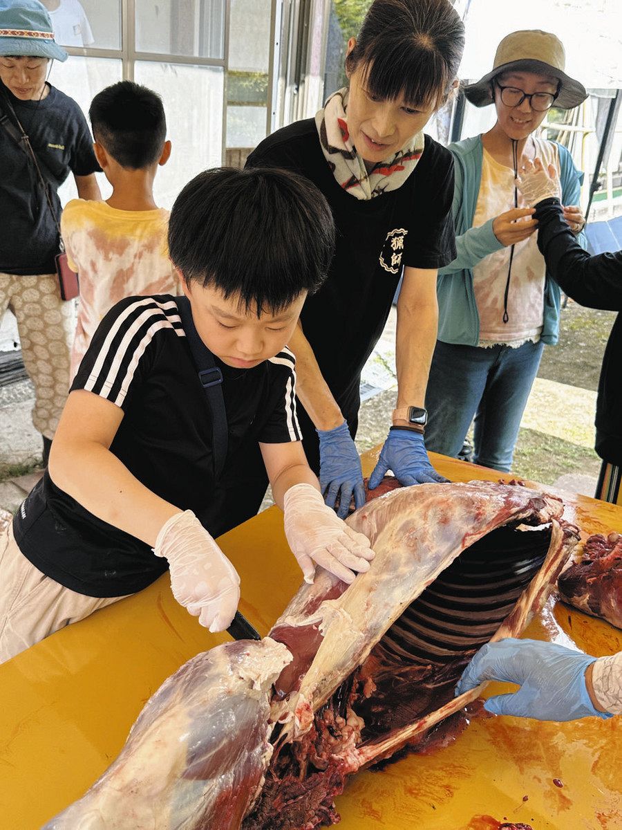 害獣捨てず私たちの命に 豊田で小学生らシカ肉味わい解体体験：中日新聞Web