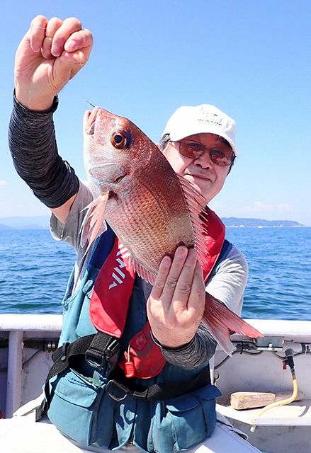 ウタセマダイの季節へ 水温下がり餌出回れば本番 伊勢湾口：中日
