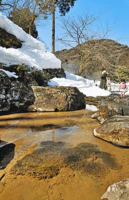 朝倉氏遺跡の池にカエルの卵 ５日 二十四節気 啓蟄 中日新聞web