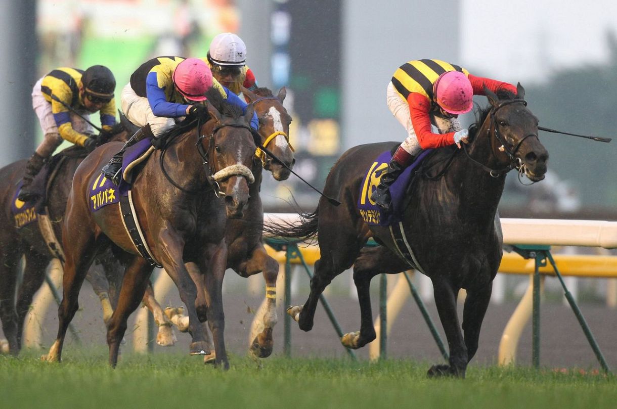 2010年オークス馬、サンテミリオン死す アパパネとJRA史上初のＧＩ1着同着：中日スポーツ・東京中日スポーツ