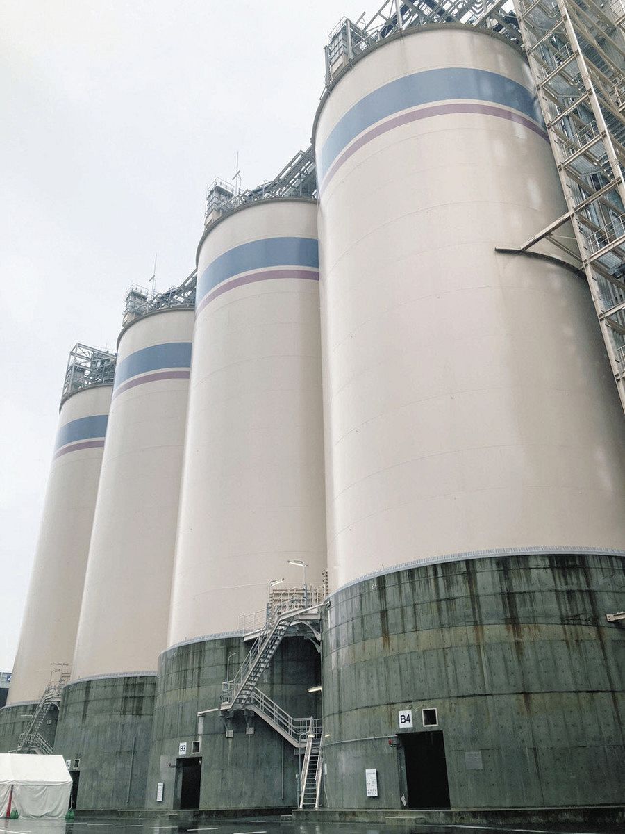 専用他の方発送×28000肉質画　写実画　栗 専用他の方発送×28000肉質画 写実画 栗 sddefault.jpg