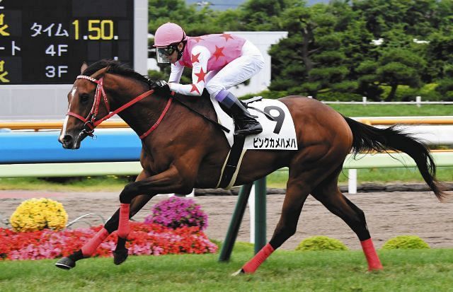 武豊も驚いた お母さんが25歳の子供なのにすごい G1 3勝スイープトウショウの弟が新馬戦で逃げ切り勝ち 中日スポーツ 東京中日スポーツ