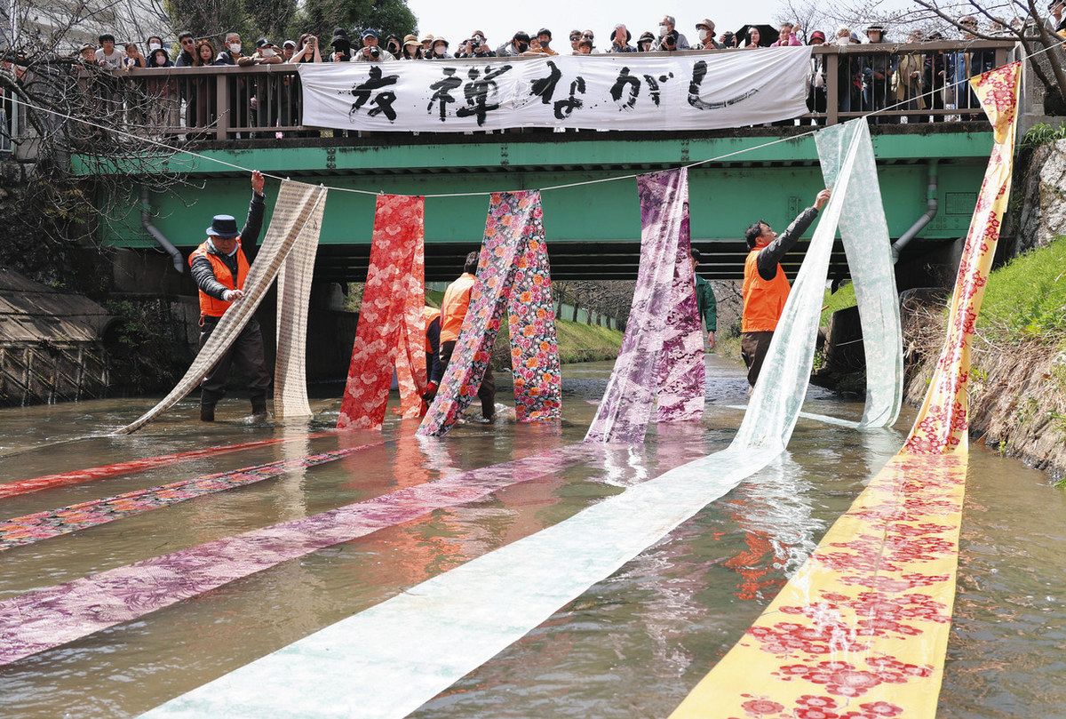 桜の木の下、反物ゆらり 名古屋・黒川で友禅流し：中日新聞Web