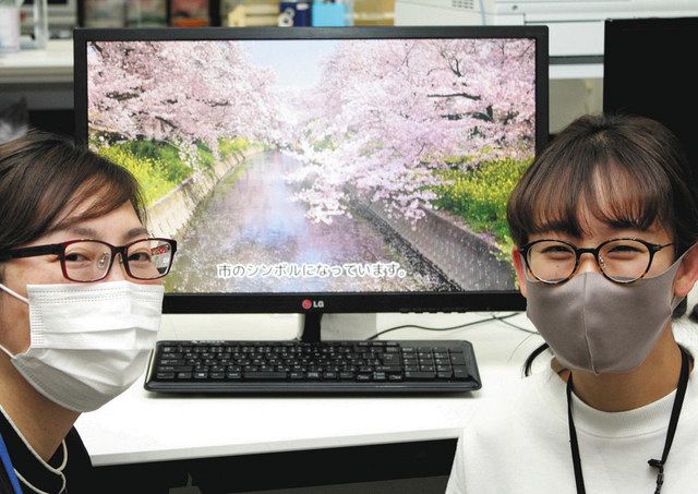 岩倉 五条川の桜 動画で公開 観光振興会が市公式チャンネル 中日新聞web