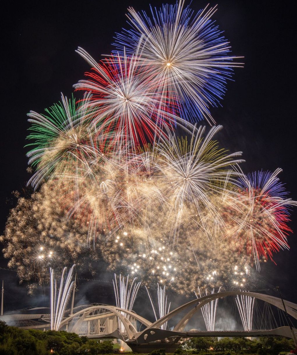 写真特集】豊田おいでんまつり花火大会 大輪の花々が夜空に咲き誇る：中日新聞Web