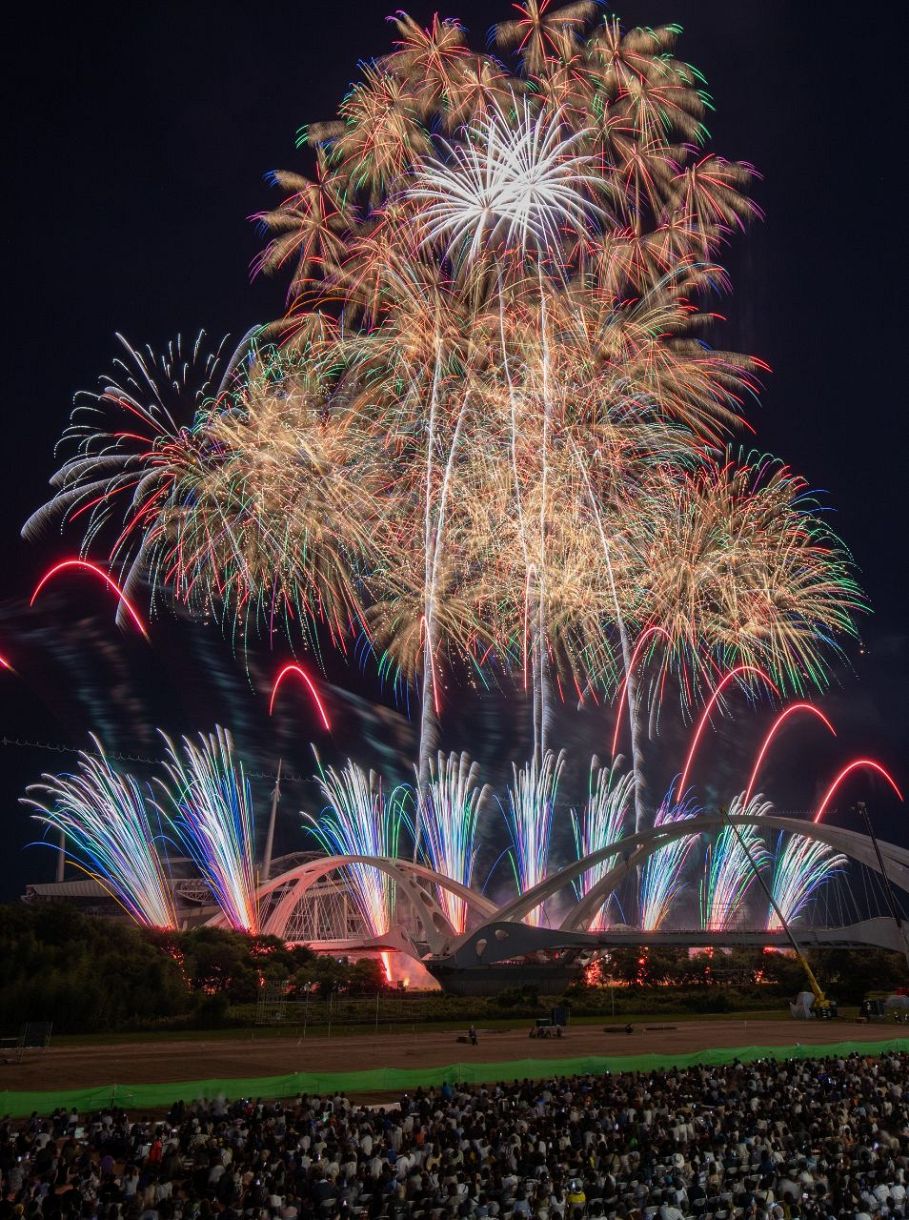 写真特集】豊田おいでんまつり花火大会 大輪の花々が夜空に咲き誇る：中日新聞Web