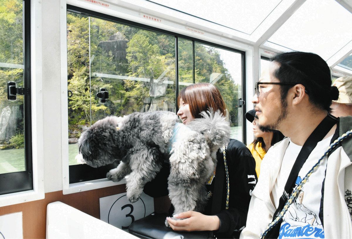 犬とともにクルーズを楽しむ乗船者＝恵那と中津川の両市にまたがる恵那峡で