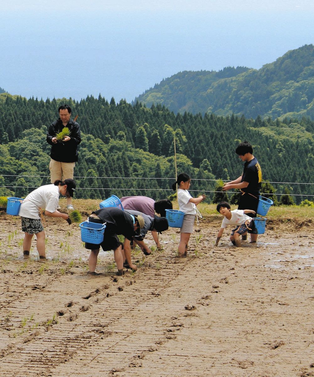 氷見・長坂の棚田 田植えに汗 オーナー27組122人参加：北陸中日新聞Web