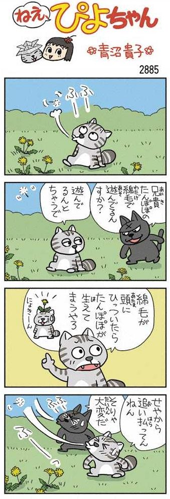 ねえ、ぴよちゃん：中日新聞Web