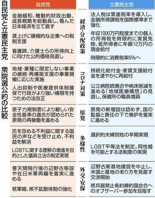 格差是正 方法論に差 自民と立民 公約出そろう 中日新聞web