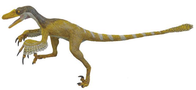 鳥に近い恐竜「デイノニコサウルス類」 勝山で足跡化石 国内初 ：日刊