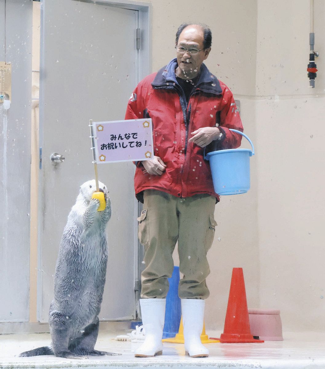 ラッコ見たさに鳥羽駅から行列 ブームの裏では「1匹でも死亡させたら
