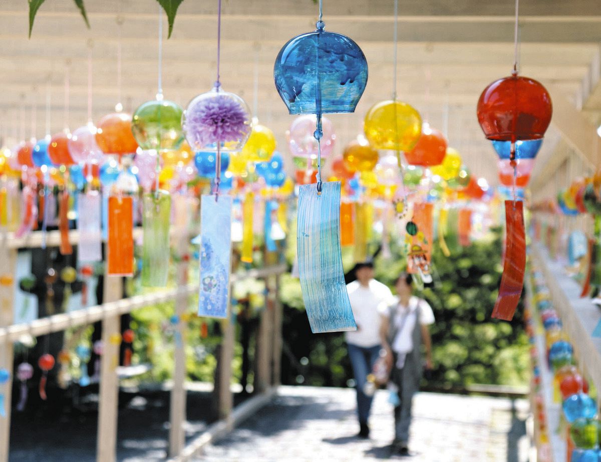 参道に涼を呼ぶ、カラフルな風鈴4000個 滋賀・大津市の西教寺で「風鈴
