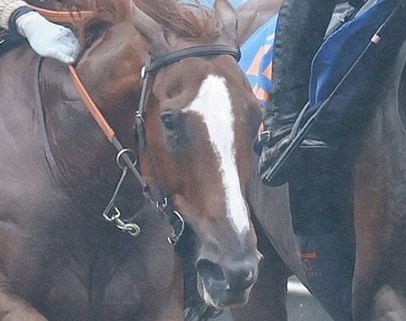 古馬牝馬重賞より速い“勝ち時計”の2歳馬にネット騒然 古馬牝馬重賞より速い“勝ち時計”の2歳馬にネット騒然