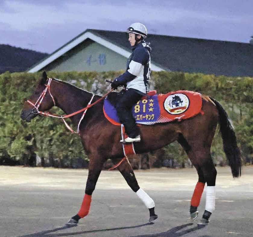 JRA】フォーエバーヤングら3頭がアイリッシュチャンピオンS予備登録