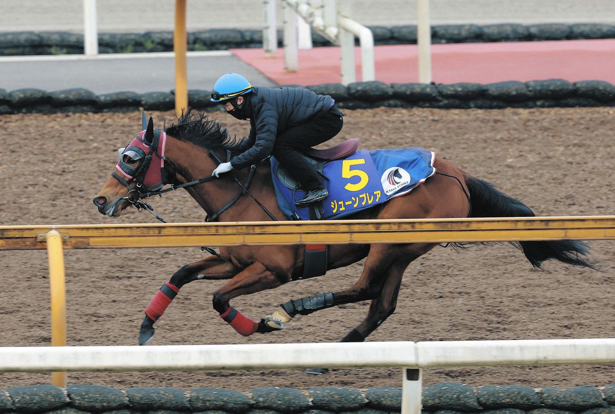 高松宮記念・追い切り】スプリンターズS2着ジューンブレアは4F51秒4―11