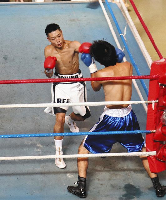 ピパポ　ボクシング 中日本新人王決勝戦ライト級山辺蓮 圧巻1ラウンドTKO