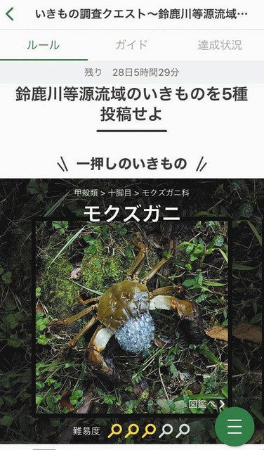 アプリで生き物調べよう 亀山 鈴鹿川周辺でイベント 中日新聞web