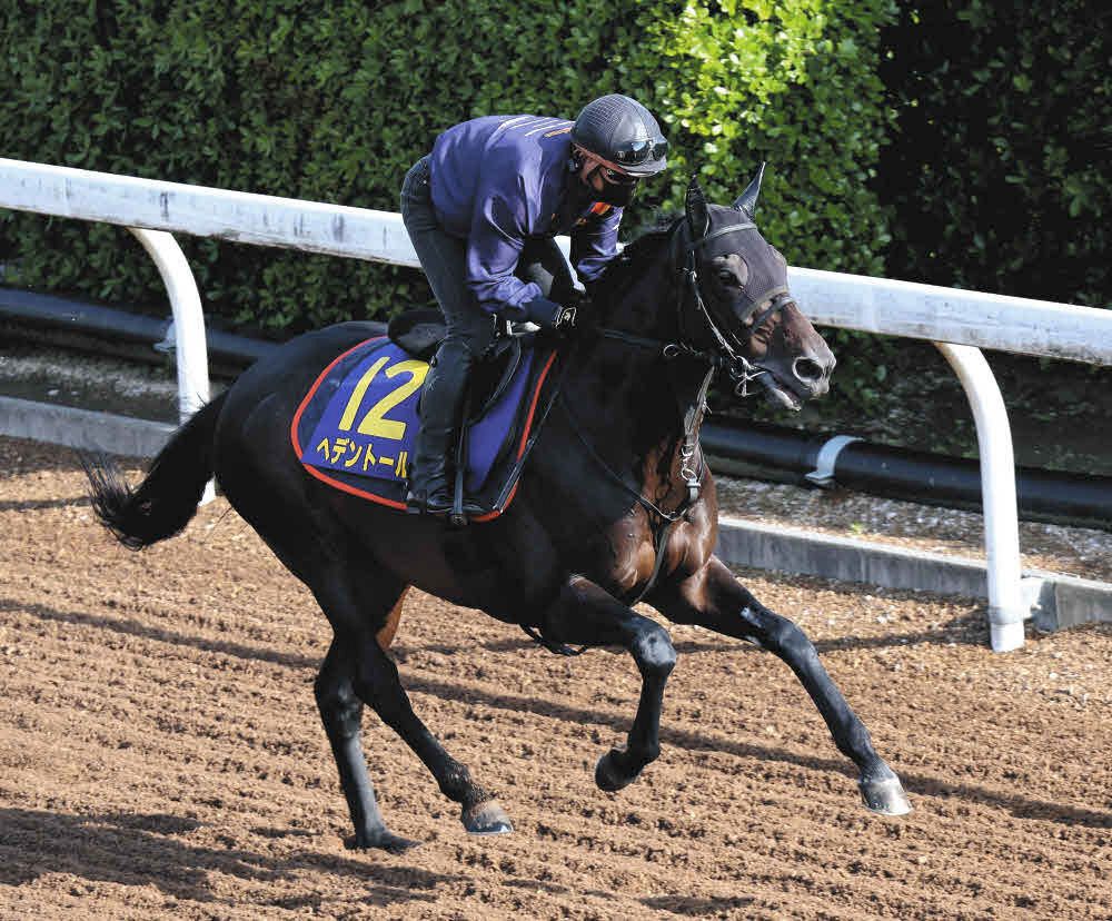 天皇賞・春 枠順決定】ヘデントールは4枠6番、サンライズアースは3枠5